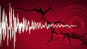 Adana'da art arda depremler