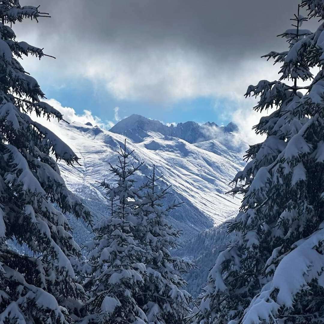 Doğu Karadeniz'de Kar Yağışı Etkisini Gösterdi