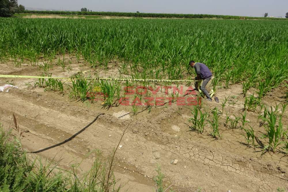 MISIR TARLASINDAKİ ÇALILAR ARASINDA ÇIPLAK HALDE CESEDİ BULUNDU