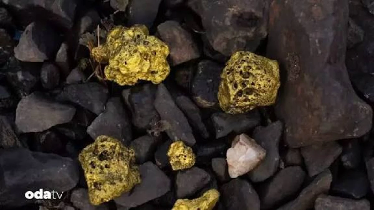 Sivas’ta 1,8 Milyar Dolar Değerinde Altın Rezervi Bulundu